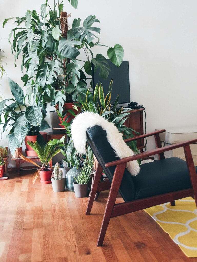 A house without frontiers